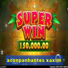 aconpanhantes xaxim